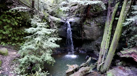 Semperveran Falls at Big Basin State Park Video stock 24255911