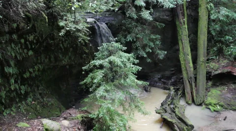 Sempervirens falls Видео 1224454
