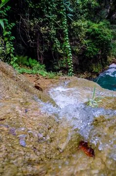 Semuc Champey Guatemala Stock Photos