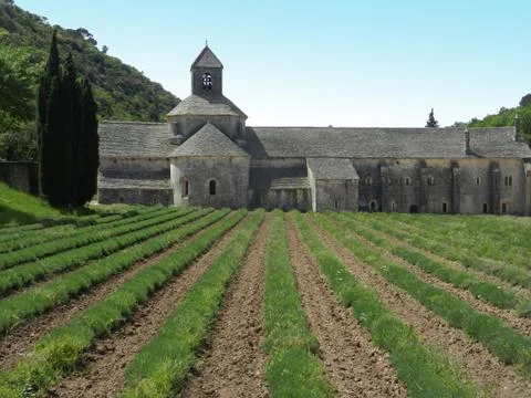 Senanque Abbey lateral view Stock Photos