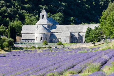 Senanque abbey with lavender field, Provence, France Stock Photos