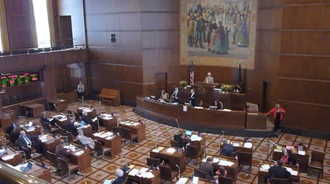 Senate in Session Video stock 25001345