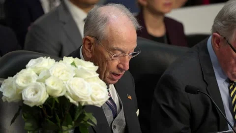 Senator Chuck Grassley beside white flowers on the late Senator Lindsey Stock-Footage 345284042