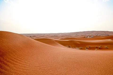 The send of the Desert. Sahara send texture. Stock Photos