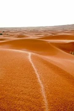 The send of the Desert. Sahara send texture. Stock Photos