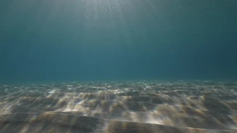 Send at the seabed flooded by the sun‘s rays, Tropea, Mediterranean sea, Italy Stock Footage 110266455