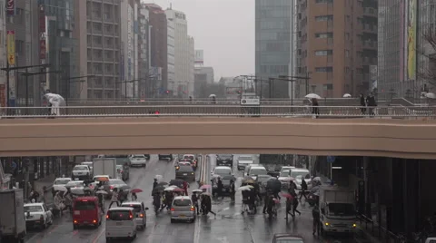 Sendai pedestrian crossing slow motion, Japan Stock-Footage 53201257