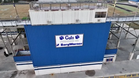 Seneca Cats Reveal Stockbeeldmateriaal 255172859