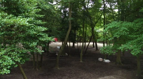 Seneca White Deer Stock Footage 68944420