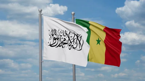 Senegal and Afghanistan two flags Stock Footage 271309197