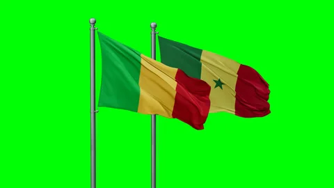 Senegal and Mali two flags Stock Footage 294260385