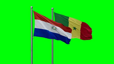Senegal and Paraguay two flags Stock Footage 293211485