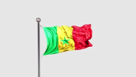 Senegal Flag  Animation Loop Include Alpha 3D Rendering Stock-Footage 312099715