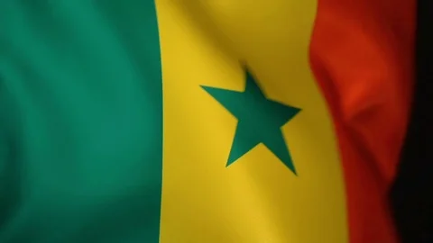 Senegal Flag Flapping Stock Footage 118966303