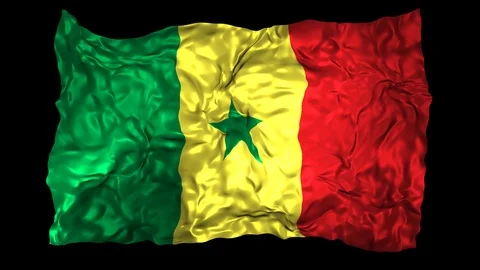Senegal flag Stock Footage 110851456