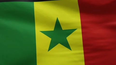 Senegal Flag Stock-Footage 139019138