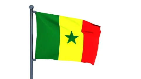 Senegal Flag Stock Footage 150204859