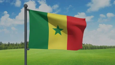 Senegal Flag Stock Footage 153255987
