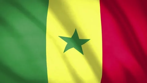 Senegal Flag  Video stock 188159571