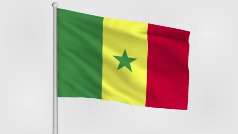Senegal Flag Video stock 212096587
