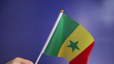 Senegal flag in hand on a blue background, independence national day of Sen.. Stock Footage 257331578