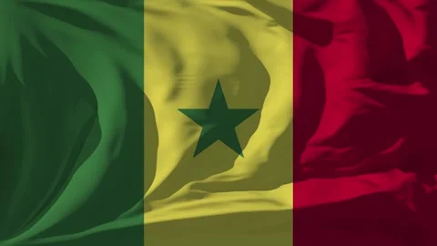 Senegal Flag Loop Stock Footage 295749794