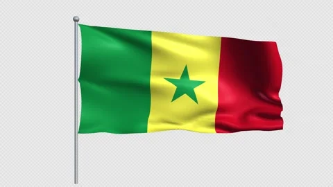 Senegal Flag - Pack 1 Stock Footage 339369698