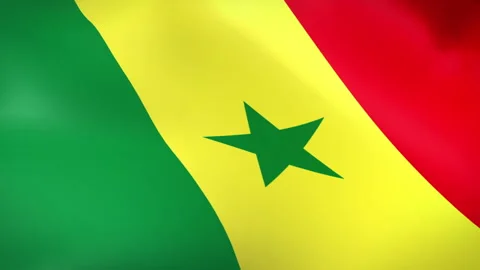 Senegal Flag - Pack 2 Stock Footage 339369629