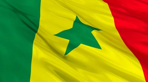 Senegal flag Seamless 스톡 동영상 49087763