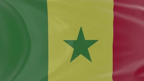 Senegal flag in slow motion animation waving in the wind realistic Stock Footage 142997078