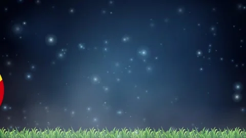 Senegal Flag Soccer Ball Bouncing Over Grass Under Night Sky Stock Footage 340259028