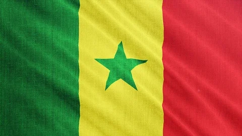 Senegal flag is waving 3D illustration.  Stock Footage 106777544