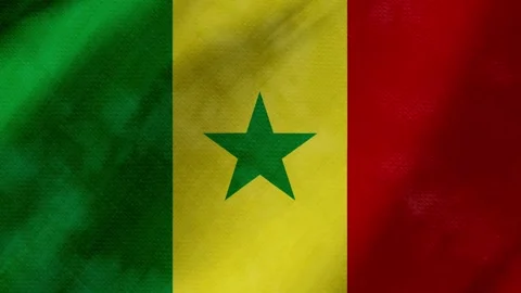 Senegal flag waving background with real fabric texture 動画素材 291921347