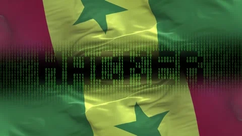 Senegal flag - Waving flag on matrix binary code background Stock Footage 321420558