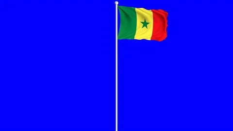 Senegal Flag Waving Fluttering on Wind Loopable Green Blue Screen Matte Video stock 77572334
