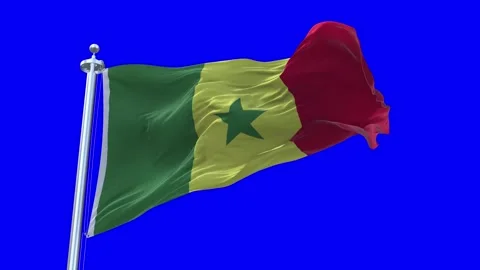 Senegal Flag Waving in Loopable and Textured green screen background Video stock 296876232