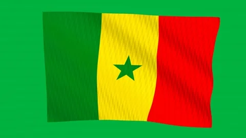 Senegal flag waving in the wind on a green screen 스톡 동영상 343133947