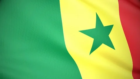 Senegal 스톡 동영상 86390301