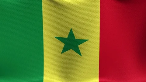 Senegal Stock Footage 89124639