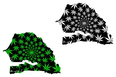Senegal - map is designed cannabis leaf Stock Illustration