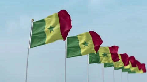 Senegal Row Of Flags Animation Stock-Footage 136249649