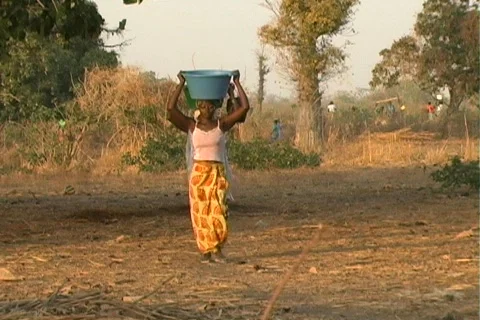 Senegal Village 2 Stock Footage 552407