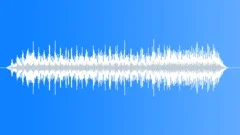 Senegal Wattled Plover FlightSound Effect