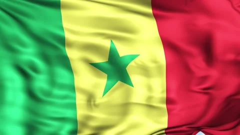 Senegal Waving Flag Background Stock Footage 204137313