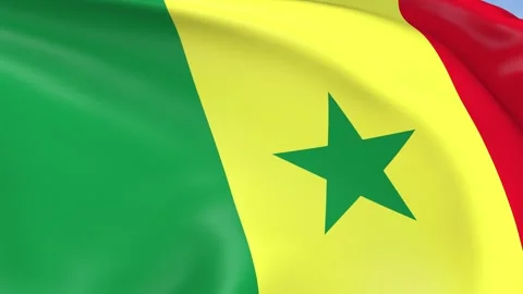 Senegal Waving Flag Background Loop Stock Footage 317845250