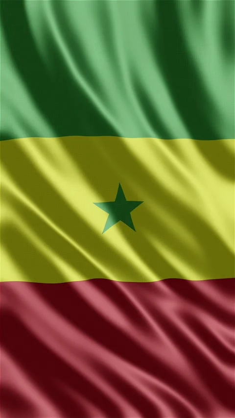 Senegal waving flag Stock Footage 288004528