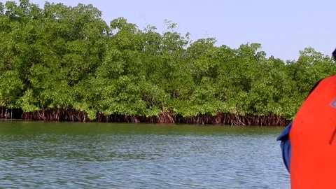 Senegalese Lake2 Vidéo 121713083