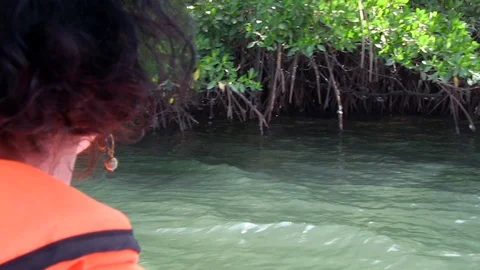 Senegalese River Stock Footage 121713733