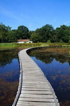Senic boardwalk Stock Photos