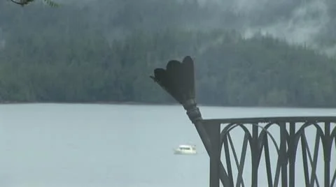 Senic Railing Stock Footage 10745691